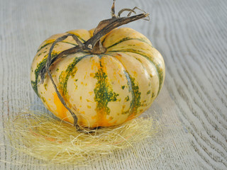 Halloween party. Holiday. Pumpkins for the holiday. Celebration. Bokke. Close-up