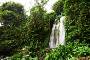 Tropical landscape arround Air Terjun Jagir waterfall in East Java, Indonesia, Southest Asia