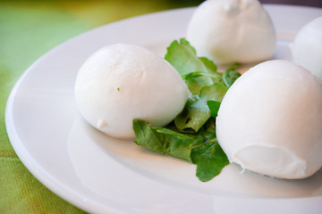 Mozzarella di buffalo with fresh lettuce on the white clean plate.