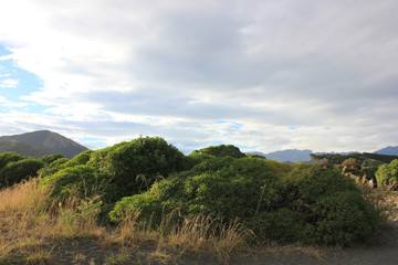 Kaikoura Beach at dusk