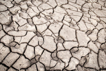 texture of dry cracked earth. Desert, concept of time of drought and global warming.