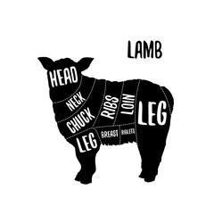 Lamb meat cutting charts vector illustration for butchers shop guide. Label for farm design