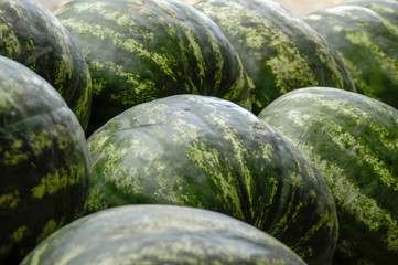 Wassermelonen