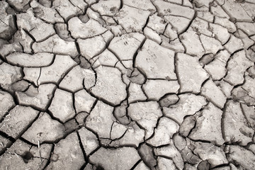 texture of dry cracked earth. Desert, concept of time of drought and global warming.