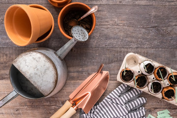 Organic seed starter pots © arinahabich