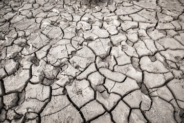 texture of dry cracked earth. Desert, concept of time of drought and global warming.