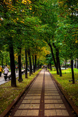 Fototapeta premium Beautiful autumn park. Autumn in Moscow. Fall trees and leaves. Autumn Landscape. Park in Fall. Forest in Autumn.