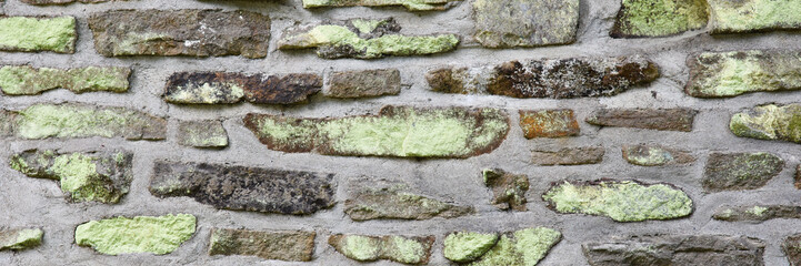 Wild stone wall texture