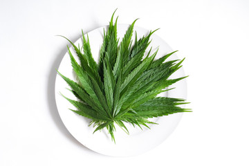 Cannabis leaf close up, marijuana ganja weed leaves on white background in natural light