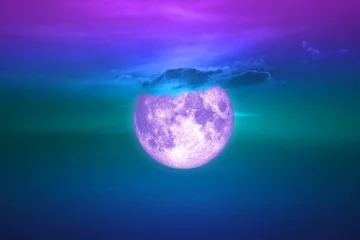 Cercles muraux Pleine Lune arbre pleine lune de récolte sur ciel sombre retour soir nuage au-dessus de l& 39 espace