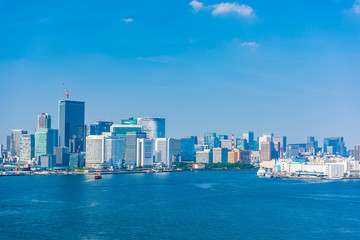 Fototapeta premium Sceneria Tokio Panoramę miasta Tokio, Japonia.