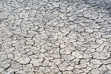The soil is dry, the surface is cracked because it doesn't rain for a long time and sunburn on top dirt