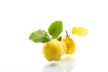 ripe natural organic quince isolated on a white