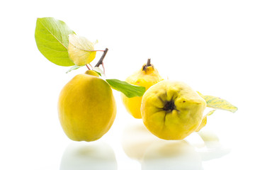 ripe natural organic quince isolated on a white