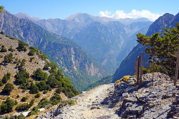 A bird's-eye view of a sweat at the amazingly famous Samaria Gorge on the island of Crete, Greece.