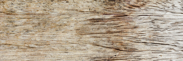 Fototapeta premium Wooden backdrop