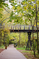 Aerial ecological trail among tree crowns Moscow Russia
