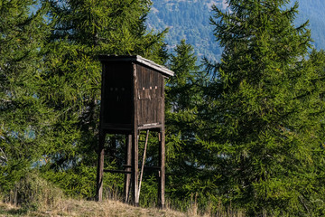 Fototapeta na wymiar wildlife observation point in the bush. alps, Italy.