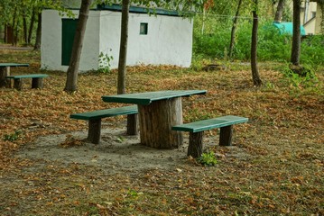 gray green  old wooden table and seats on the ground among the vegetation