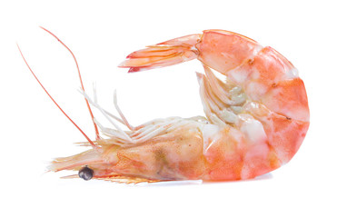 Shrimp isolated on the white background