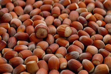 Harvested hazelnuts scattered on a wooden background