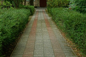 alley of colored paving tiles among decorative bushes and green vegetation in the park