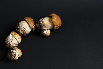 mushrooms isolated on black background