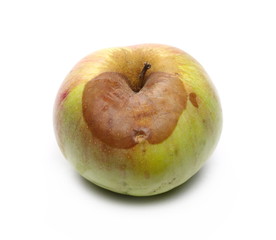 Rotten apple isolated on white background