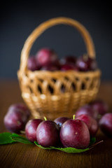 organic red ripe cherry plum isolated on black