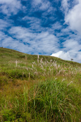 兵庫県 砥峰高原のススキと秋の風景