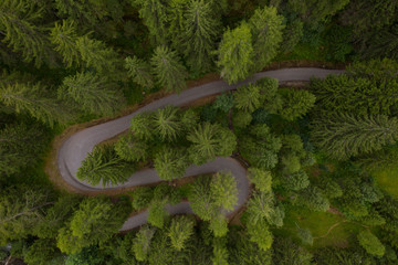 aerial view of a mountain road winding through a fir forest