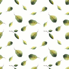 Watercolor seamless pattern with leaves on. Hand draw