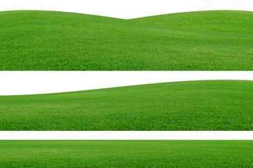 Green grass field isolated on white background with clipping path.
