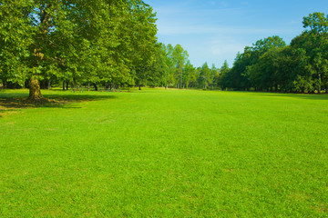Obraz na płótnie Canvas park lawn