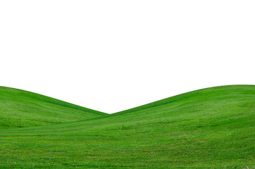 Green grass field isolated on white background with clipping path.