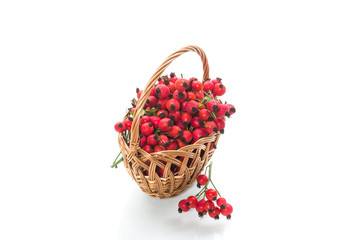 ripe red dogrose in a basket isolated on white