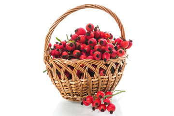 ripe red dogrose in a basket isolated on white