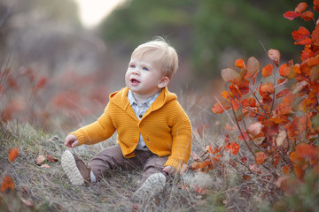 Adorable kid having fun on beautiful autumn day. Happy child playing in autumn park. Kid gathering yellow fall foliage. Autumn activities for children.Portrait of happy little child, baby boy laughing