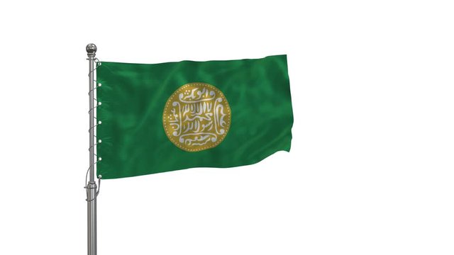 Rohingya Flag waving  in the wind, white background