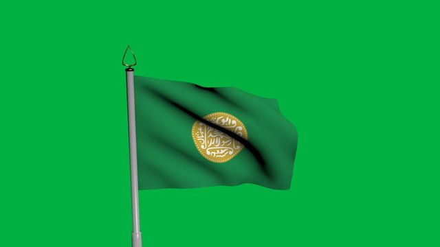 Rohingya Waving Flag on Wind on Green Screen or Chroma Key background. 1920 x 1080 Animatio