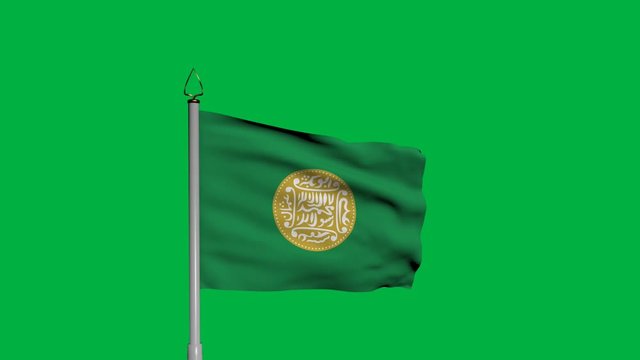 Rohingya Waving Flag on Wind on Green Screen or Chroma Key background. 1920 x 1080 Animation
