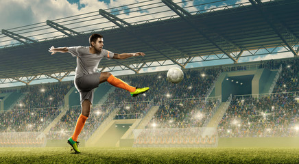 Fototapeta na wymiar Soccer player kicks a ball.. Soccer stadium with cheering fans
