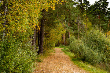 Осень в "Сказке"