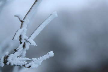 Obraz premium Naturaleza