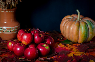 The autumn harvest of red juicy apples rests on the colorful autumn leaves next to the orange pumpkin