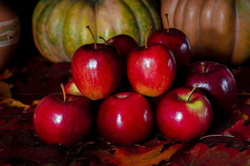 The autumn harvest of red juicy apples rests on the colorful autumn leaves next to the orange pumpkin