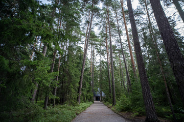 Skogskyrkogården