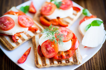 Closeup of a fresh sandwich with mozzarella, tomatoes