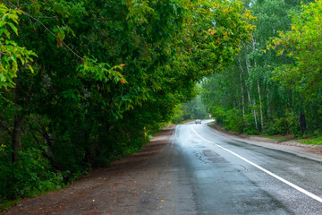 far away passenger car on a wet road in the woods. summer day after rain. forest. road. in summer