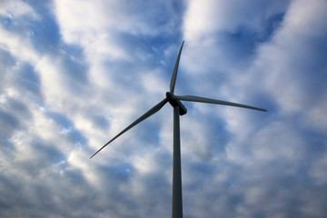 wind turbine in morning light